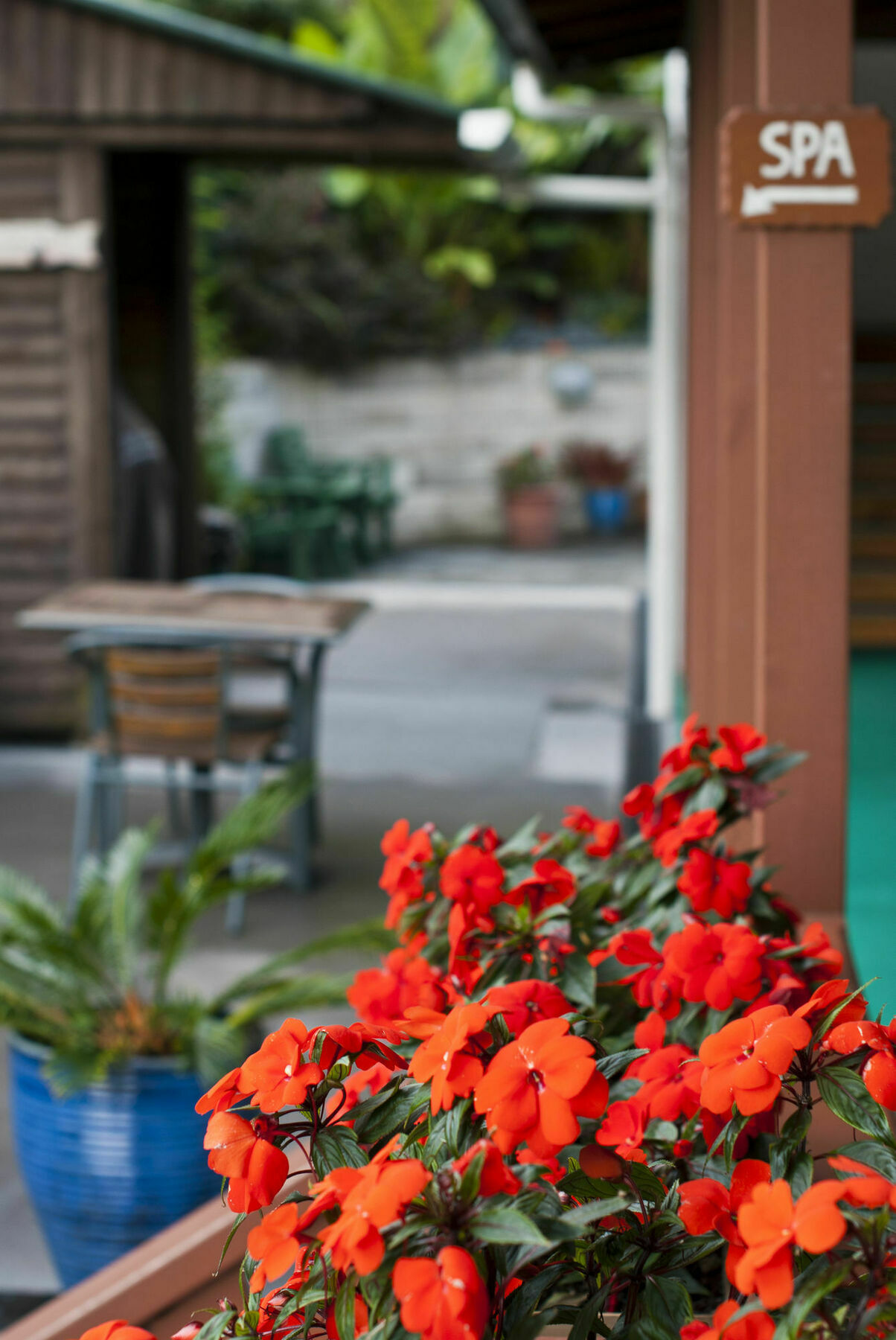 Swiss Chalet Lodge Motel Paihia Kültér fotó
